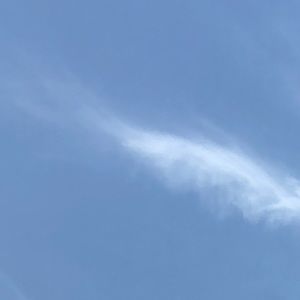 Meet your Posher, Valerie